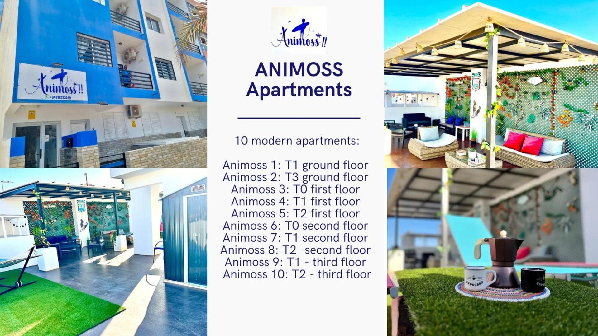 Animos! Apartments - 10 Modern Apartments Near The City & Beach, Perfect For Nomads, Travellers, Families, Watersports! Санта Мария Екстериор снимка